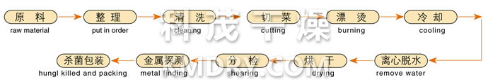 DWC系列脱水蔬菜带式干燥机工艺流程图